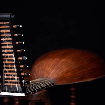 Original 17th Century Renaissance Bass Lute - Professional performance condition image 7