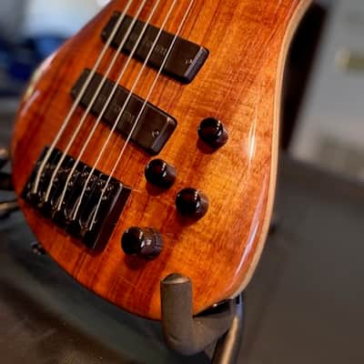 Roscoe LG Custom 2015 Koa Natural Gloss Bild 2