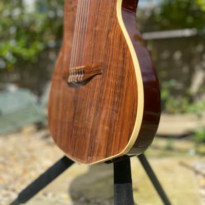 Multiac ACS rosewood HG with Roland GR-30 synth image 9