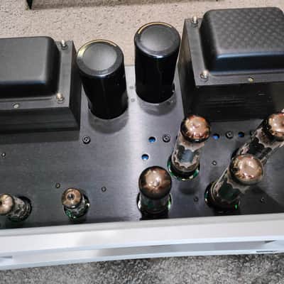 VTL MB-125 COPPIA FINALI MONO MONOBLOCK VALVOLARI TUBE POWER AMP VTL- MB125 Silver image 13