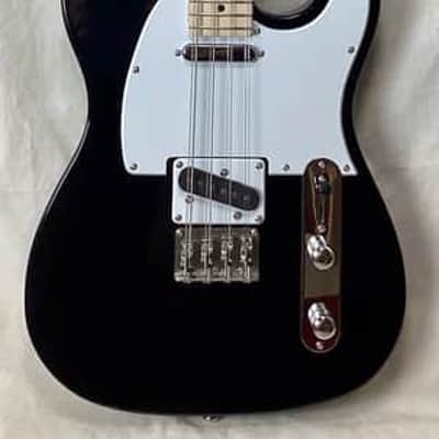 Electric Mandocello conversion of a telecaster style guitar - octaves tuning image 1