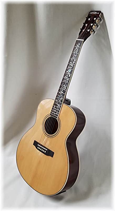 Dillion DF-900 ES Folk Size Acoustic Guitar Natural w/Case image 1