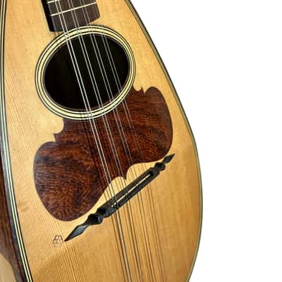 Mandoline Raffaele Calace N°2 de 1910 image 5