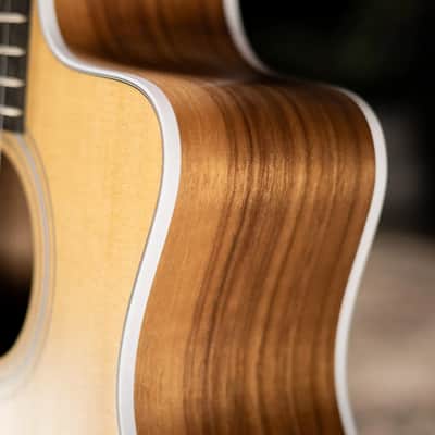 Taylor 214ce-N Nylon Grand Auditorium Acoustic/Electric Guitar with Gig Bag image 10