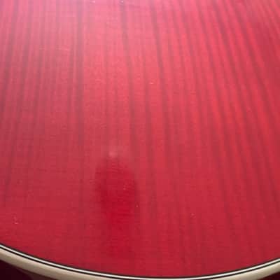 Hofner Club Bass Translucent red image 6