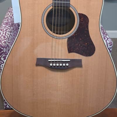 Seagull Coastline Momentum HG Cedar/Cherry Dreadnought with Fishman Electronics 2010s - High Gloss Natural image 2