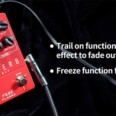 Flamma FS22 Ekoverb Dual Reverb Delay Pedal,price include the import duty to US buyer image 7
