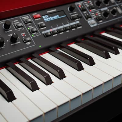 Immagine Nord Grand 2 88 Key Digital Stage Piano - 4