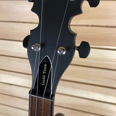 Gold Tone AC-4 Composite Open Back 4-String Tenor Banjo with Bag image 17