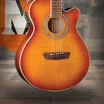 Seagull Natural Elements Amber Trail CW Mini Jumbo SG T35 Acoustic