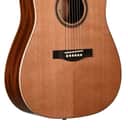 Teton STS105NT 105 Series Dreadnought Western Red Cedar Mahogany Acoustic,