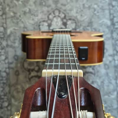 Yamaha APX5NA 2007 nylon hybrid pickup 48'' modern classical guitar crossover image 25