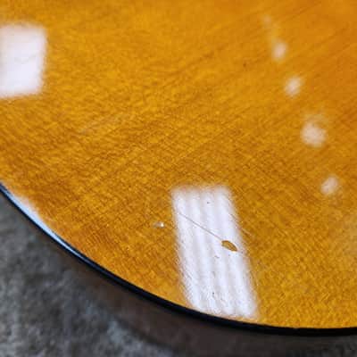 Vintage 1960s Goya TS-4 12-String Dreadnought - Recent Neck Reset w/ Original Hard Shell Case image 20