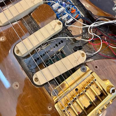 Fender Elite Stratocaster 1983 - Walnut image 15