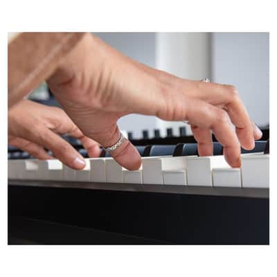 Roland RD-08 88-Key Stage Piano with Streamlined Design, PHA-4 Keyboard, SuperNATURAL Sound Engine, and ZEN-Core Engine image 5