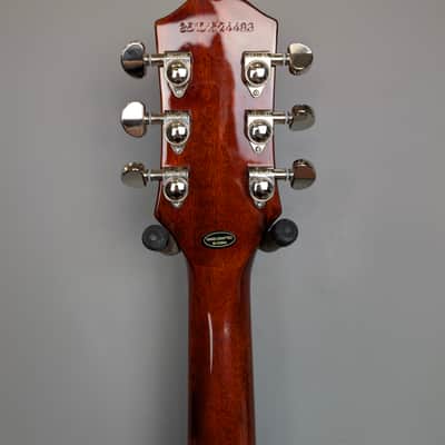 Epiphone Les Paul Special Double Cutaway Figured 2026 - Bourbon Burst image 7