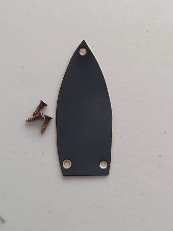 1960's Gretsch Truss Rod Cover with Screws from a 6122 (M-200) image 1