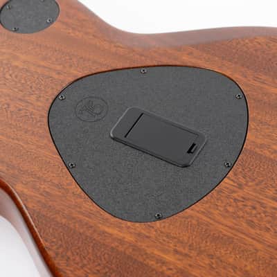 Taylor T5z Classic 2021 Natural image 19