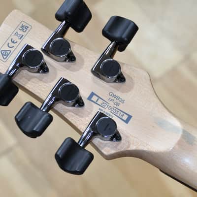 IBANEZ GWB35 BKF Black Flat / Gary Willis Signature / 5-String Fretless Bass / GWB35-BKF image 15