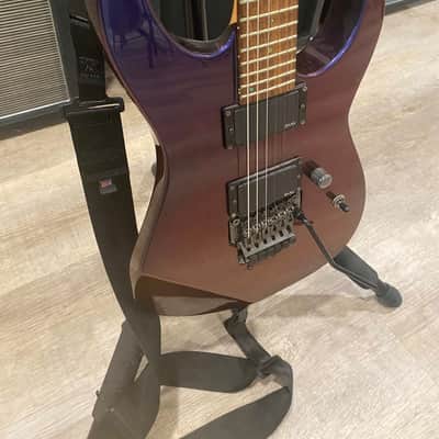 ESP Standard M-II NTB 2006 - 2013 - Red/Blue Custom Paint image 5