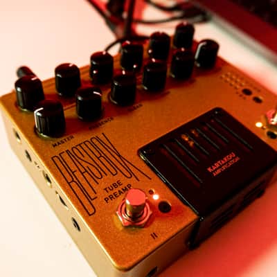 KARTAKOU Beastbox | Handmade Tube Guitar Preamp + IR image 5