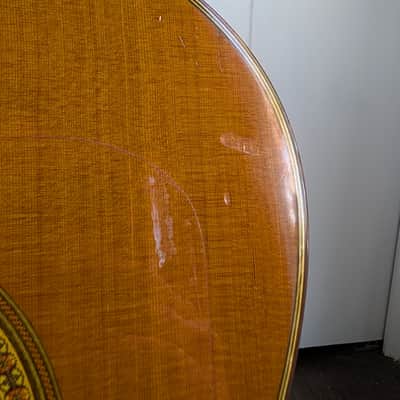 Francisco Navarro Concert Classical, 2001 image 14