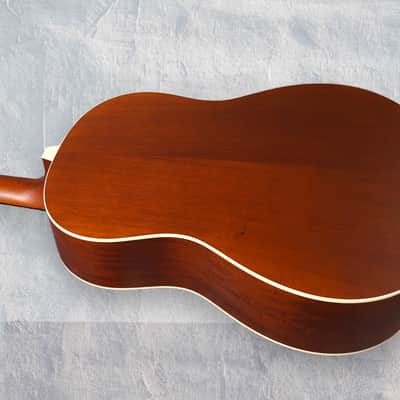 Iris OG Electric - Cremona Burst. NEW (Authorized Dealer) image 4