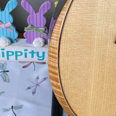 Alvarez Artist AP710EAR Parlor Acoustic-Electric Guitar - Natural image 3