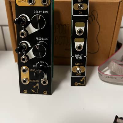 Tenderfoot Electronics Echo & Feed Eurorack Delay Modules image 2