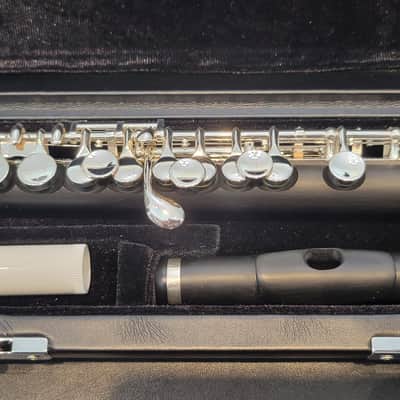 Di Zhao DZP 102 Composite Wood Student Piccolo image 2