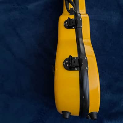 Concert Size Fiberglass Case image 2