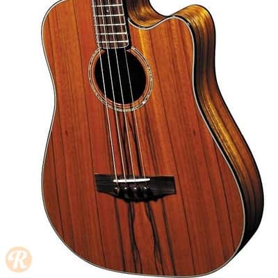 Fender Victor Bailey Acoustic Bass Natural 2008