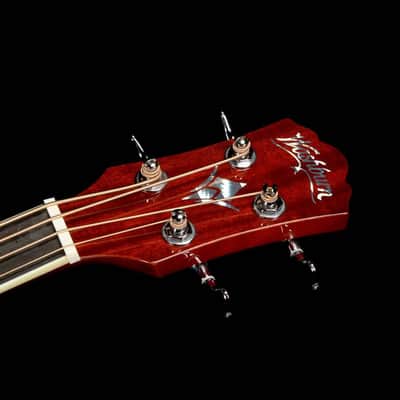 Washburn AB5K Spruce Top Mahogany Neck 4-String Acoustic Bass Guitar w/Gig Bag image 11