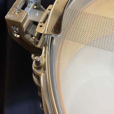 Steve Ferrone's Tom Petty and The Heartbreakers, 1990s Pearl - 6.5x14" CL-8114D Free Floating Maple Snare, Signed! image 18