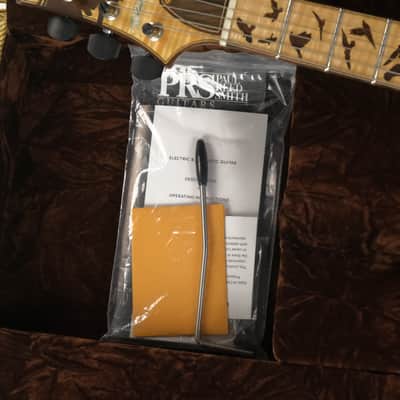 PRS Birds Of A Feather Private Stock Guitar Of The Month Owned by David Grissom image 19