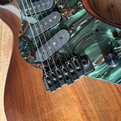 Rick Turner Guitars Electroline - Walnut Top with Scott Walker Buffer Booster & Kirinite Pickguard and Plates image 13