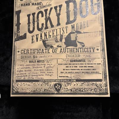 Lucky Dog Evangelist 2026 - Yellow Amber Burst image 10