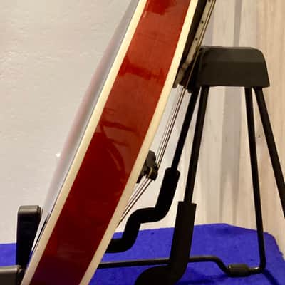 Michael Kelly MK-AO Oval-Hole A-Style Mandolin — Recent Luthier Setup image 8
