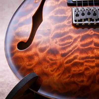 PRS USA Paul Reed Smith Wood Library Special 22 Semi Hollow 10-Top "Copperhead Burst" (2024) image 10