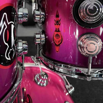 ~WOW!~ DW Collector's Mike Cosgrove of Alien Ant Farm's 8-Piece Custom Drum Kit Set image 5