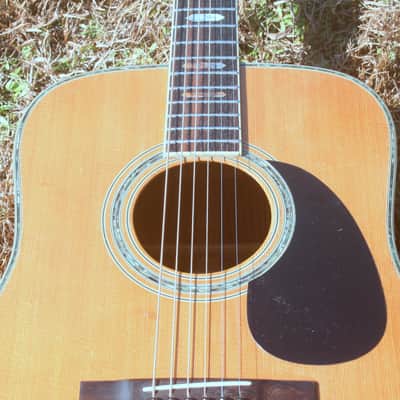 1978 Yairi  YW-600 Coral Rosewood(New Jacaranda ) Body Natural Bargain image 19