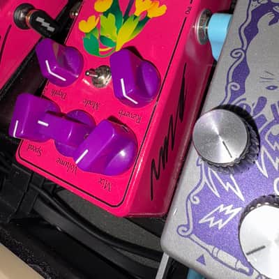 Poison Noises Perennial Chorus and Modulated Reverb image 6