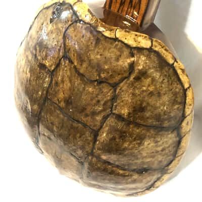 Turtle Shell Tenor Ukulele image 4