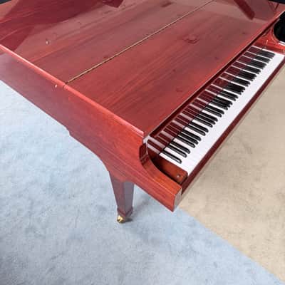 Immagine Boston GP163 2023 - Polished Mahogany - 7