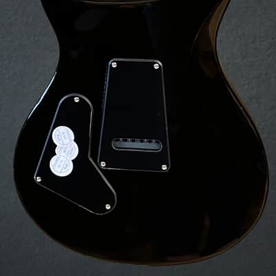 Paul Reed Smith SE Custom 24, '25 image 4