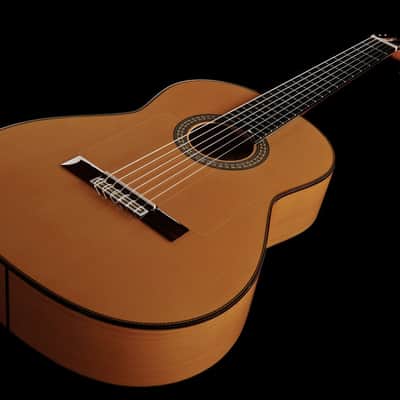 Juan Hernandez Profesor Spruce Flamenca Spanish Flamenco Guitar image 9