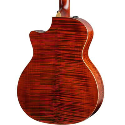 Taylor Custom #41: Grand Auditorium, Western Red Cedar/Figured Big Leaf Maple image 3