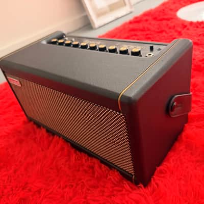 Positive Grid Spark 40 40-Watt 2x4" Modeling Guitar Combo 2020 - Present - Black