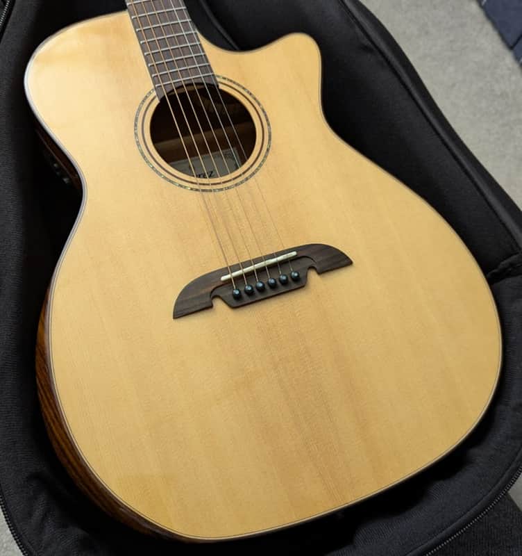Alvarez Artist AG60ce Armrest Acoustic/Elec. w/Flexi-case, setup, & shipping image 1