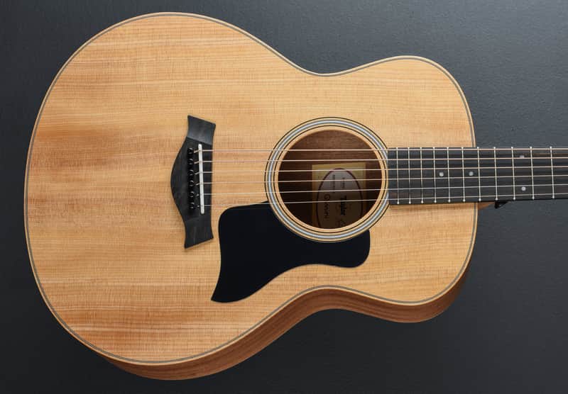 Taylor GS Mini Sapele image 1